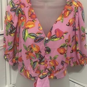 New with Tags Joie Pink Fruit Print Crop Top